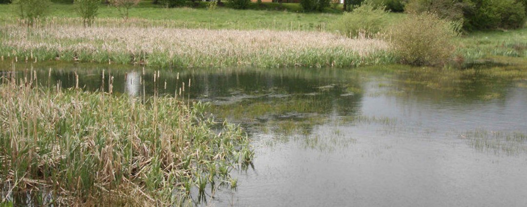New corporate identity and information board for Dronfield's Lea Brook Valley